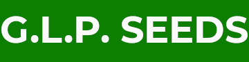 GLP SEEDSヤフー店 ロゴ