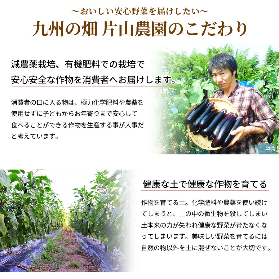 減農薬栽培 熊本県産 茄子 なすび 黒船なす 有機肥料 訳あり 10kg 九州
