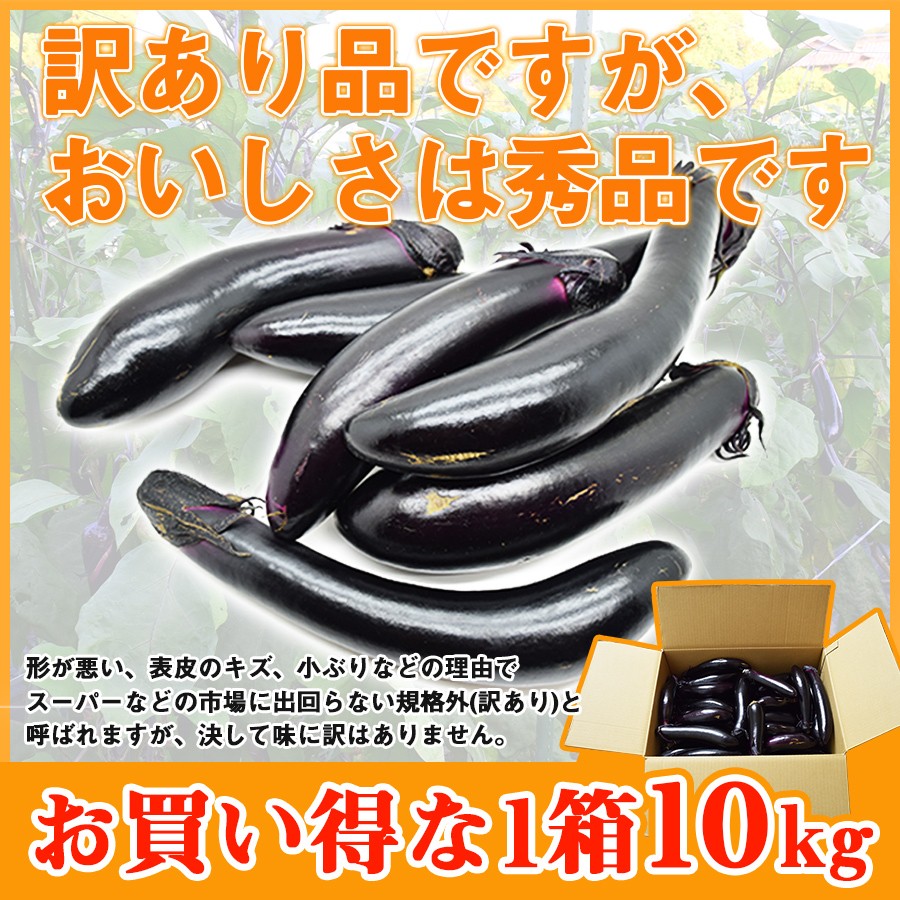 減農薬栽培 熊本県産 茄子 なすび 黒船なす 有機肥料 訳あり 10kg 九州産 :KFN-10kg:九州の畑 片山農園 - 通販 -  Yahoo!ショッピング