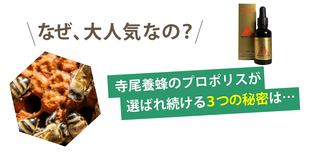 グリーンプロポリス発見者が作る恵の蜂