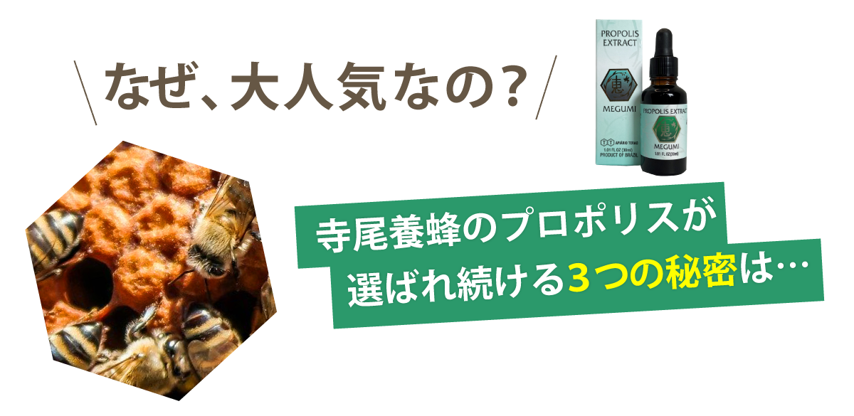 プロポリス エキス 液体 原液 グリーンプロポリス 恵 30ml 寺尾養蜂