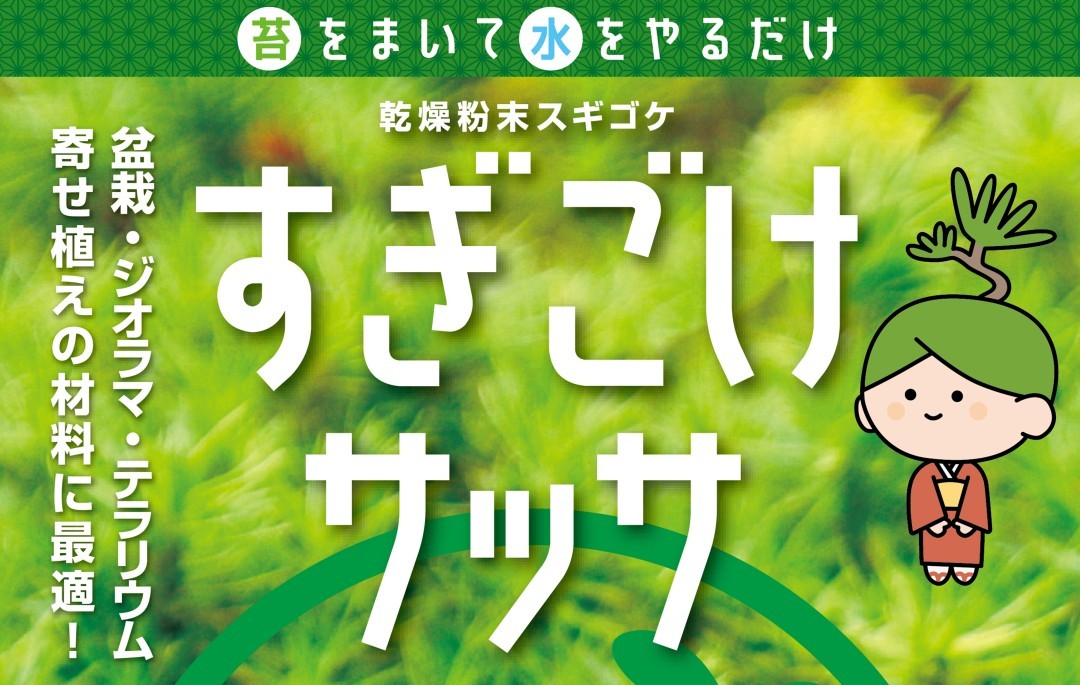 苔 苔玉 乾燥粉末スギゴケ すぎごけサッサ 12g 盆栽 栽培 テラリウム 園芸 箱庭 ジオラマ こけ スナゴケ ハイゴケ  :48020001:green tools !店 通販 