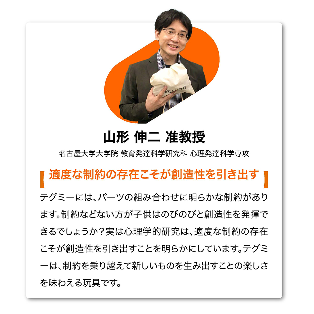 Amazon.co.jp: 【創造力を育む玩具】 テグミー TEGUMII ブロック