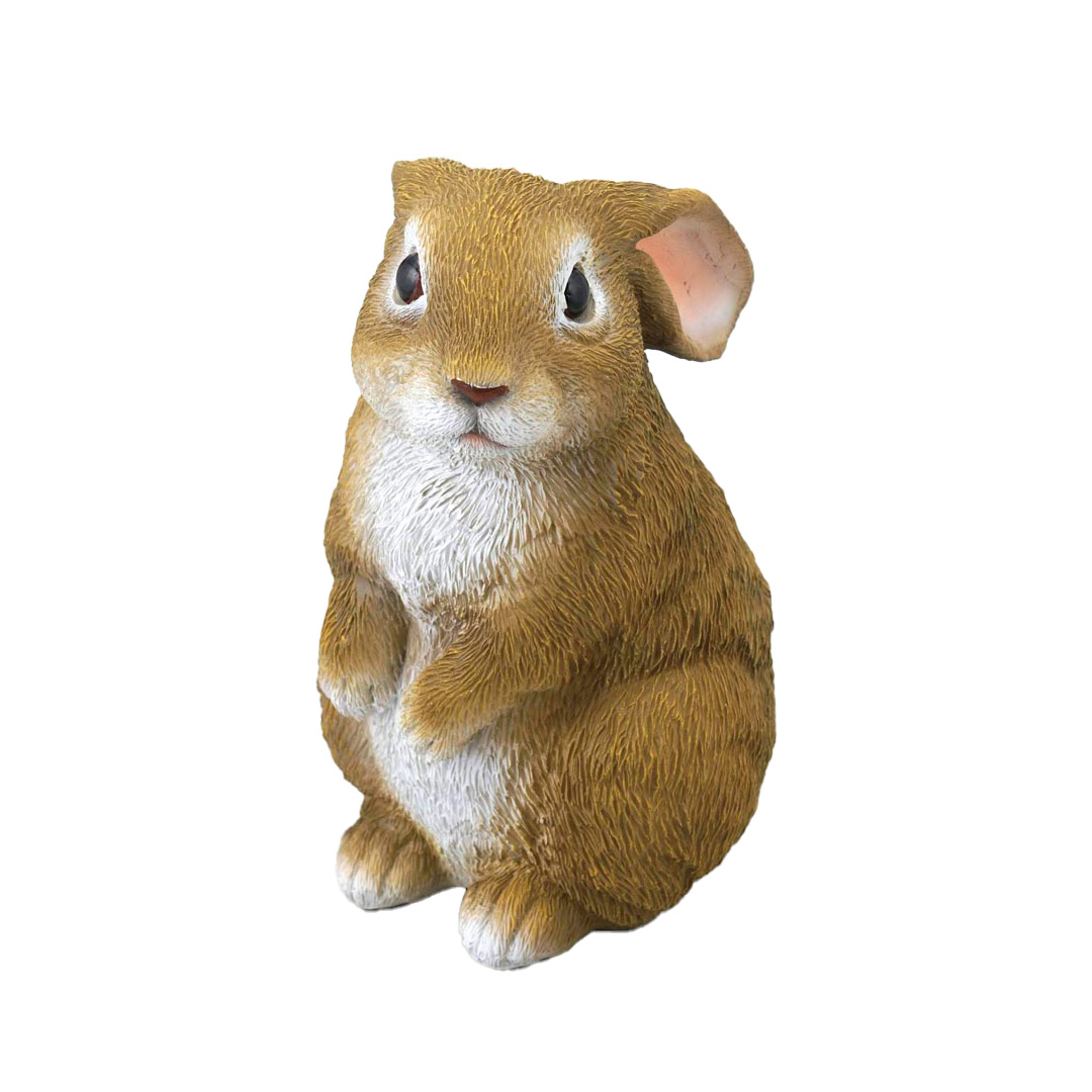 週末はせわしさを断捨離®️⁉️】うさぎを飼っていたつもりが