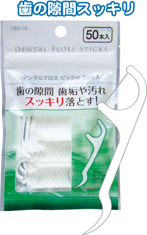 デンタルフロスピック付(ホルダータイプ)50本入 41-261 2点迄メール便