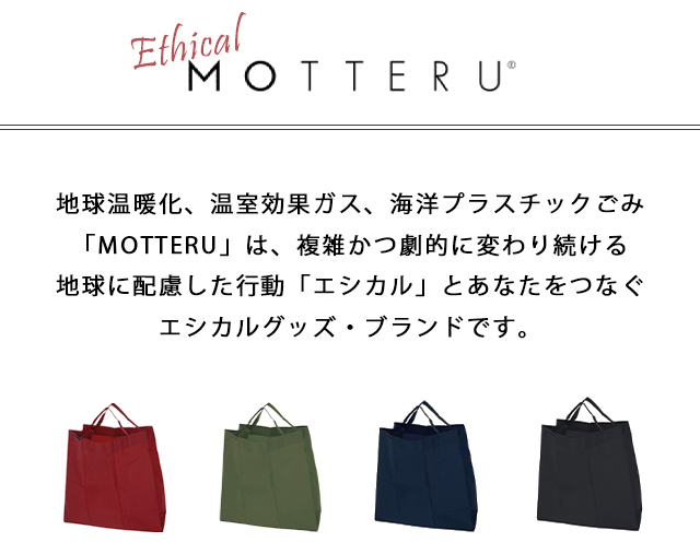 レビュー記入でメール便送料無料」ポケットスクエアバッグ ワイド エコ