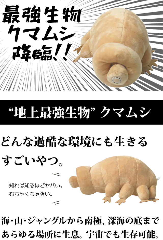 面白雑貨 地上最強生物 GPT クマムシ ぬいぐるみ ベージュ インテリア かわいい ユニーク 生き物 長命虫 動物 アニマル 教材 子供 大人  送料無料(gu1b051)