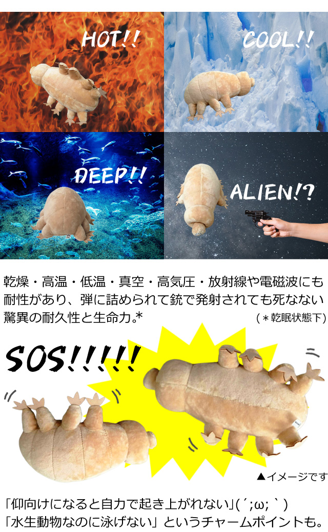 地上最強生物 Gpt クマムシ ぬいぐるみ ベージュ インテリア かわいい ユニーク 生き物 長命虫 動物 アニマル 教材 理科 子供 大人 Gu1b051 送料無料 Gu1b051 スーツケースと旅行用品のgriptone 通販 Yahoo ショッピング