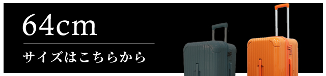 大サイズ