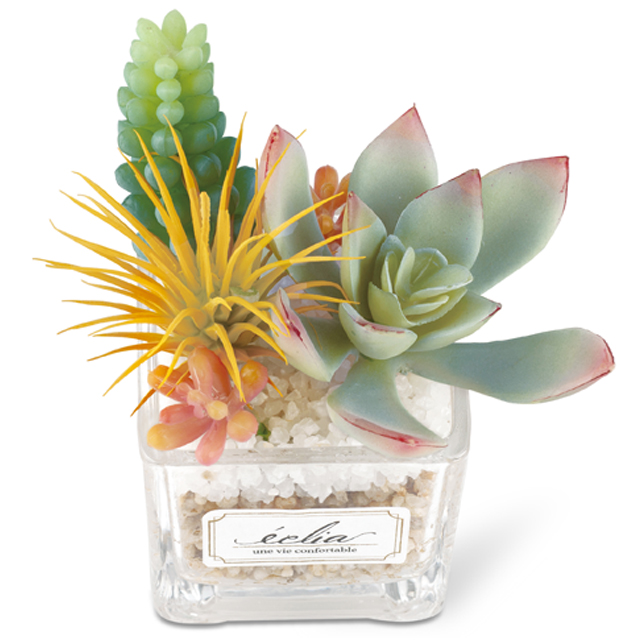 フェイクグリーン 卓上 置き型 消臭 Sサイズ 多肉 防汚 観葉植物 アーティフィシャルグリーン プレゼント ギフト キシマ KH-61180 KH-61181 KH-61182(ki3a007) |  | 02