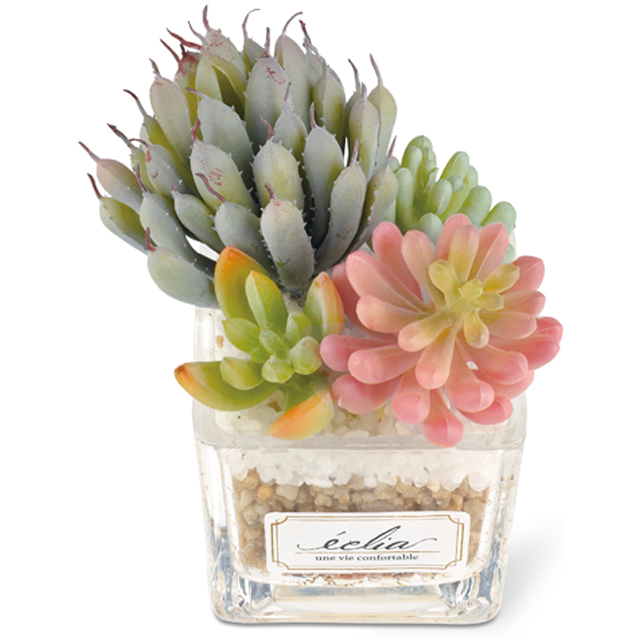 フェイクグリーン 卓上 置き型 消臭 Sサイズ 多肉 防汚 観葉植物 アーティフィシャルグリーン プレゼント ギフト キシマ KH-61180 KH-61181 KH-61182(ki3a007) |  | 03