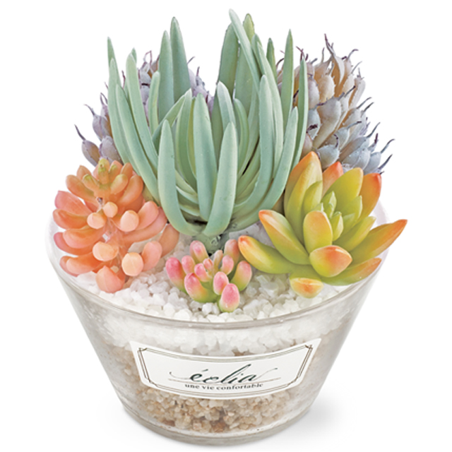 フェイクグリーン 卓上 置き型 消臭 抗菌 観葉植物 アーティフィシャルグリーン Lサイズ 多肉 ギフト プレゼント キシマ KH-61183 KH-61184 KH-61185(ki3a008) |  | 03