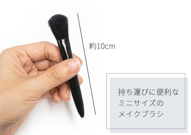 メイクブラシ セット 6本 メイクアップブラシ＆チップ ミニサイズ6種入