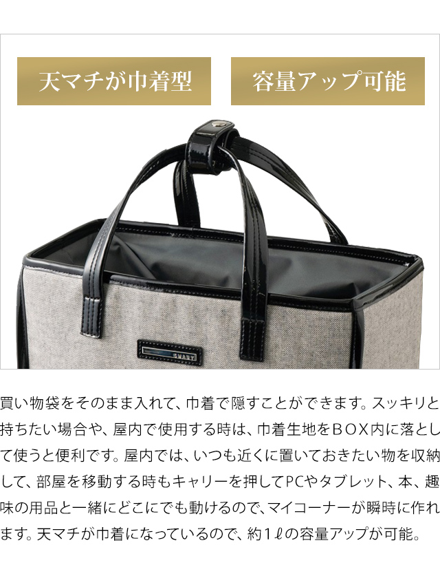 スワニー SWANY キャリーバッグ ショッピングカート 横押し