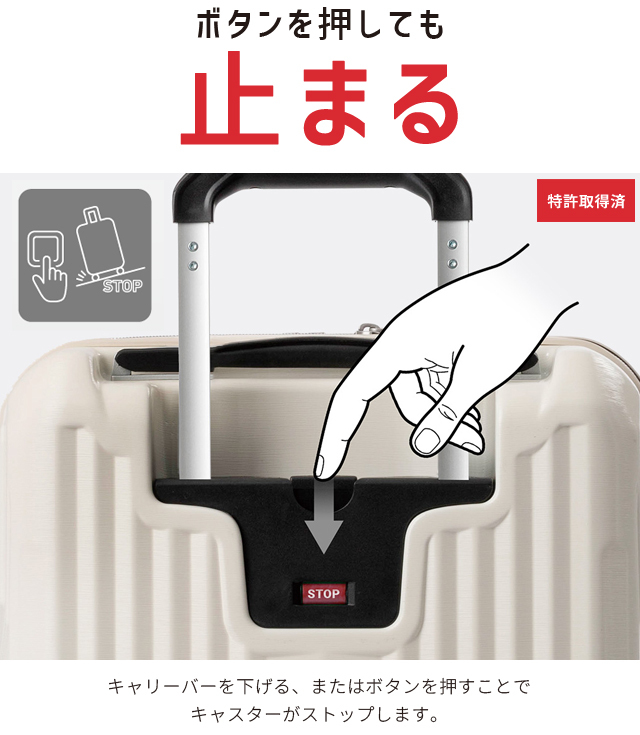 ジナーP型　ケース付き　袋蛇腹 hakuba_133602
