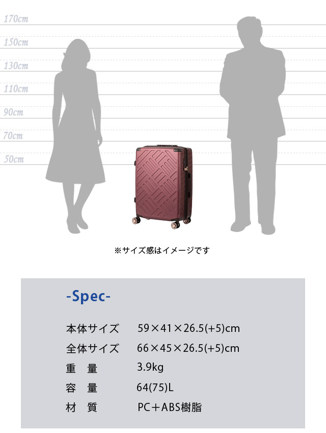 MURO レコードバッグ キャリーバッグ EMISSION 新品未使用品 MURO レコードバッグ キャリーバッグ EMISSION