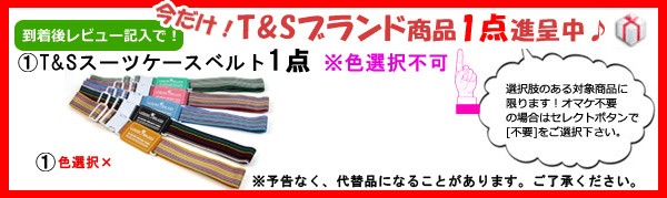 T&S1点セット粗品の説明