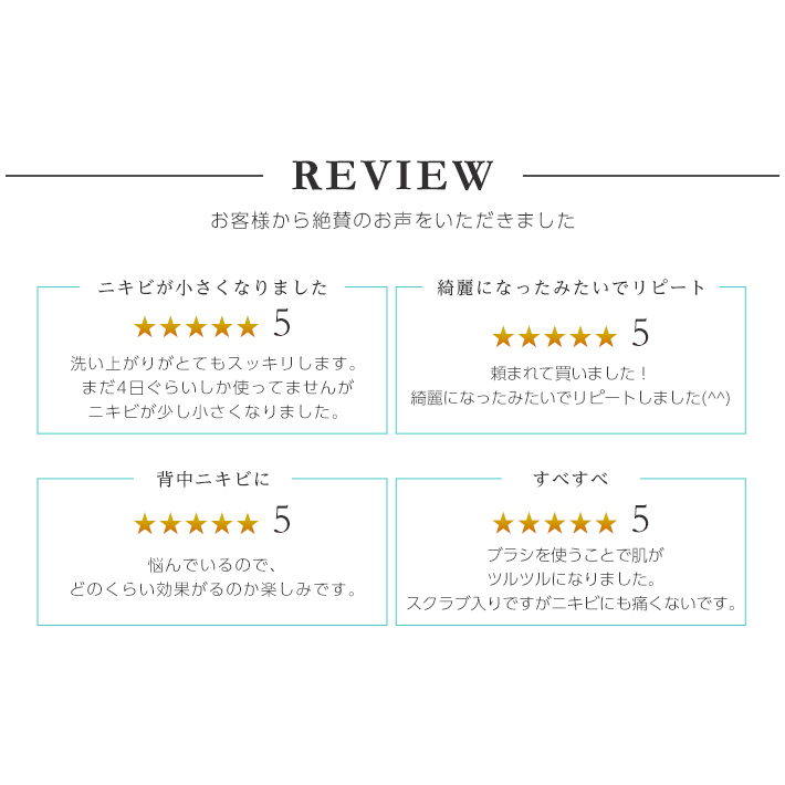 新品未使用 プロアクティブ ボディウォッシュ ボディブラシ ボディソープ 国内正規品