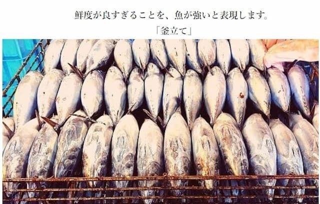 鮮度が良すぎることを、魚が強いと表現。釜立ての工程