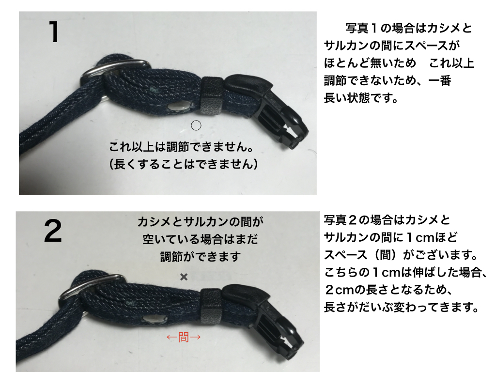 首輪 犬 小型犬 Sサイズ 【 花柄プリント 】 オーダーメイド ダブルD