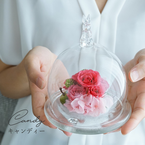 プリザーブドフラワー 誕生日 誕生日プレゼント 女性 男性 母 新築祝い 退職祝い 結婚式 電報 結婚式 花 プレゼント 30代 40代 50代 60代 おしゃれ 友達 両親 妻 Minirose Rabit 1 Ground 通販 Yahoo ショッピング プリザーブドフラワー 誕生日 誕生日プレゼント 女性 男性 母 新築祝い 退職祝い 結婚式 電報 結婚式 花 プレゼント 30代 40代 50代 60代 おしゃれ 友達 両親 妻 Minirose Rabit 1 Ground 通販 Yahoo ショッピング