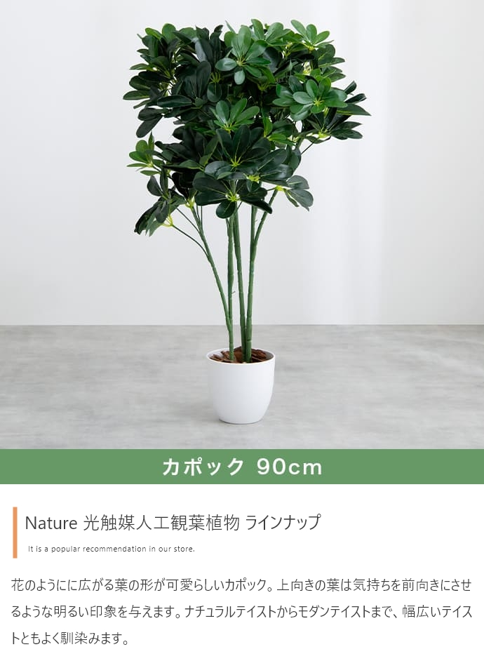 光触媒人工観葉植物 fake green カポック (約)幅40cm×奥行40cm×高さ