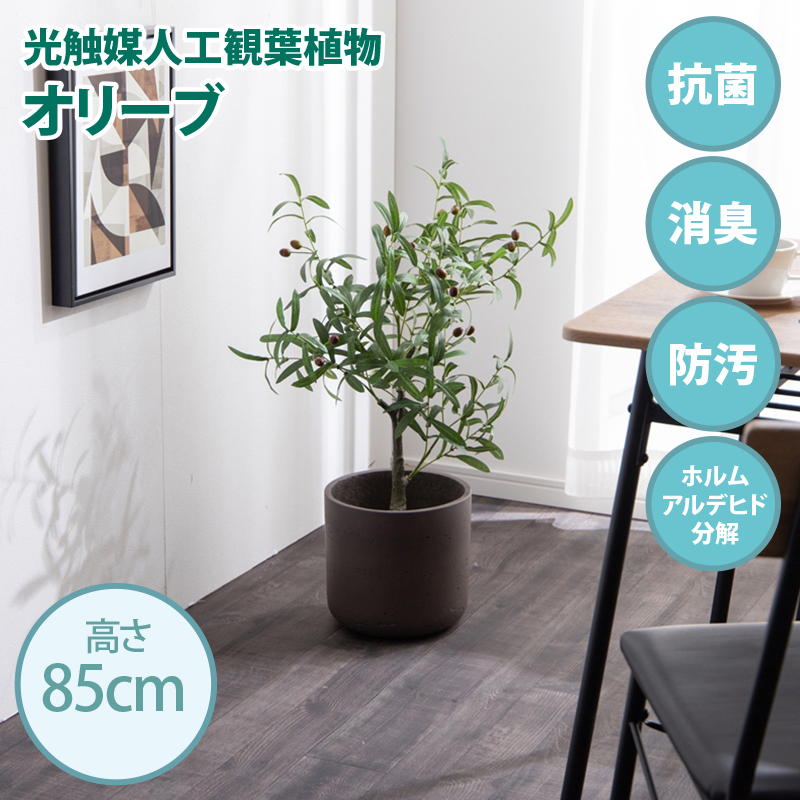 光触媒人工観葉植物 fake green カポック (約)幅40cm×奥行40cm×高さ