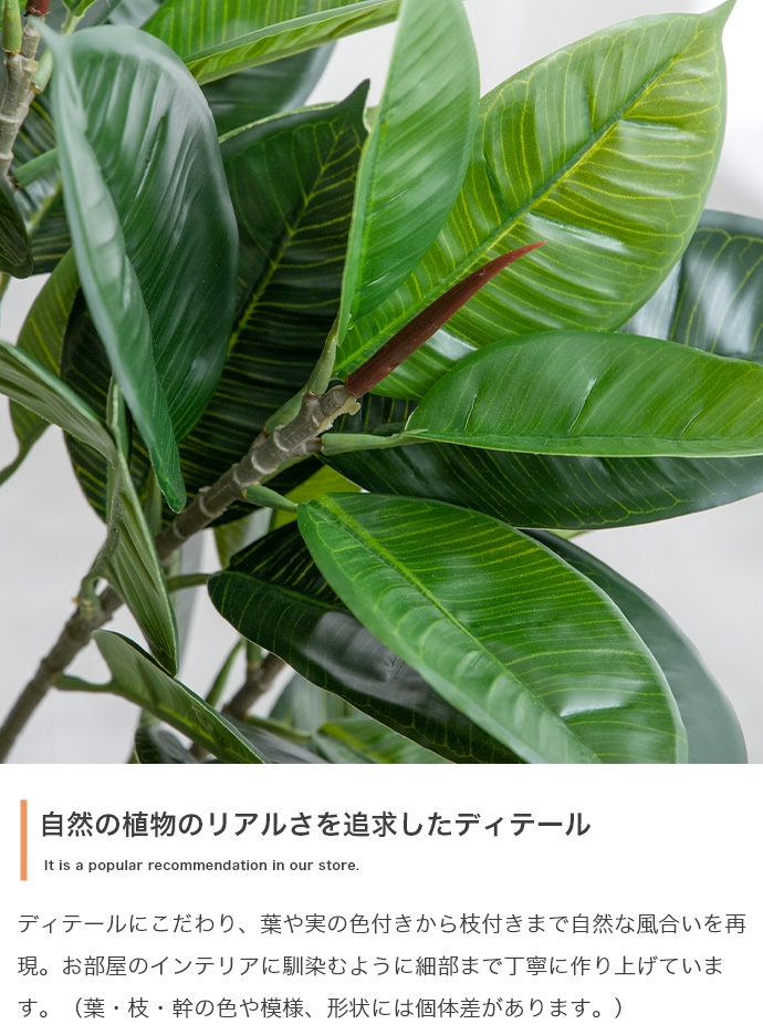 光触媒人工観葉植物 fake green ユーカリ (約)幅60cm×奥行45cm×高さ150cm 照明光で消臭・抗菌・防汚・ホルムアルデヒド分解の効果を発揮 フェイクグリーンの画像