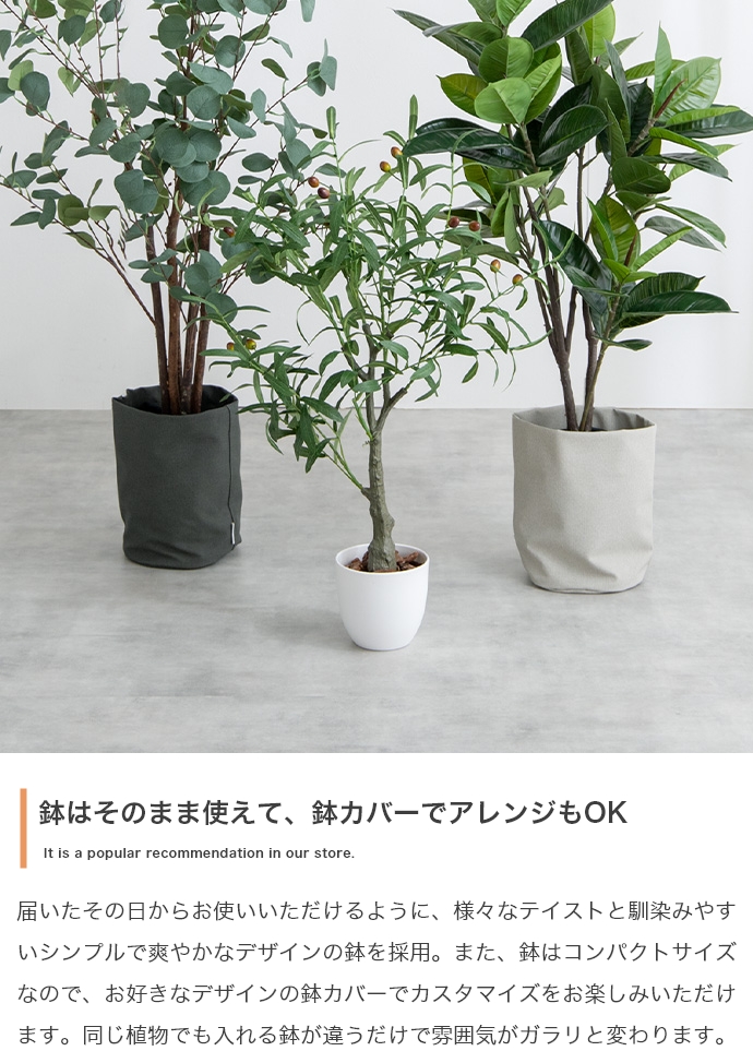 光触媒人工観葉植物 fake green ユーカリ (約)幅60cm×奥行45cm×高さ150cm 照明光で消臭・抗菌・防汚・ホルムアルデヒド分解の効果を発揮 フェイクグリーンの画像