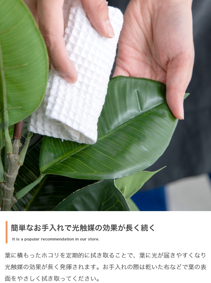 光触媒人工観葉植物 fake green ユーカリ (約)幅60cm×奥行45cm×高さ150cm 照明光で消臭・抗菌・防汚・ホルムアルデヒド分解の効果を発揮 フェイクグリーンの画像