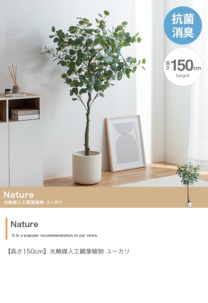 光触媒人工観葉植物 fake green ユーカリ (約)幅60cm×奥行45cm×高さ150cm 照明光で消臭・抗菌・防汚・ホルムアルデヒド分解の効果を発揮 フェイクグリーンの画像