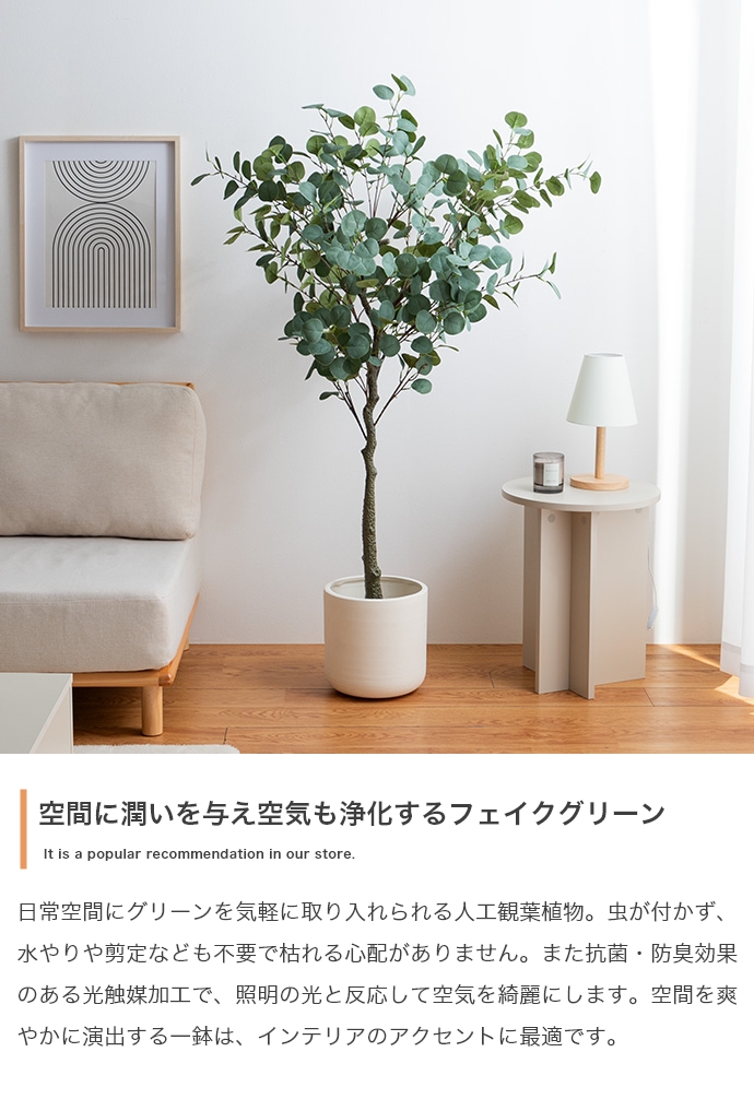 光触媒人工観葉植物 fake green ユーカリ (約)幅60cm×奥行45cm×高さ150cm 照明光で消臭・抗菌・防汚・ホルムアルデヒド分解の効果を発揮 フェイクグリーンの画像