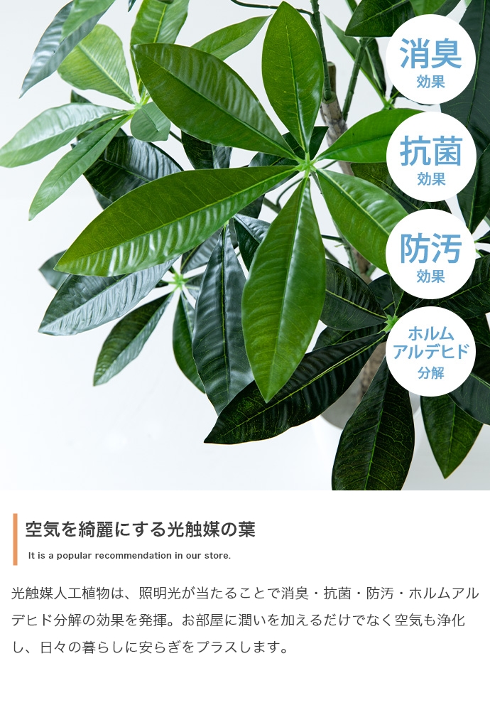 光触媒人工観葉植物 fake green ユーカリ (約)幅60cm×奥行45cm×高さ150cm 照明光で消臭・抗菌・防汚・ホルムアルデヒド分解の効果を発揮 フェイクグリーンの画像