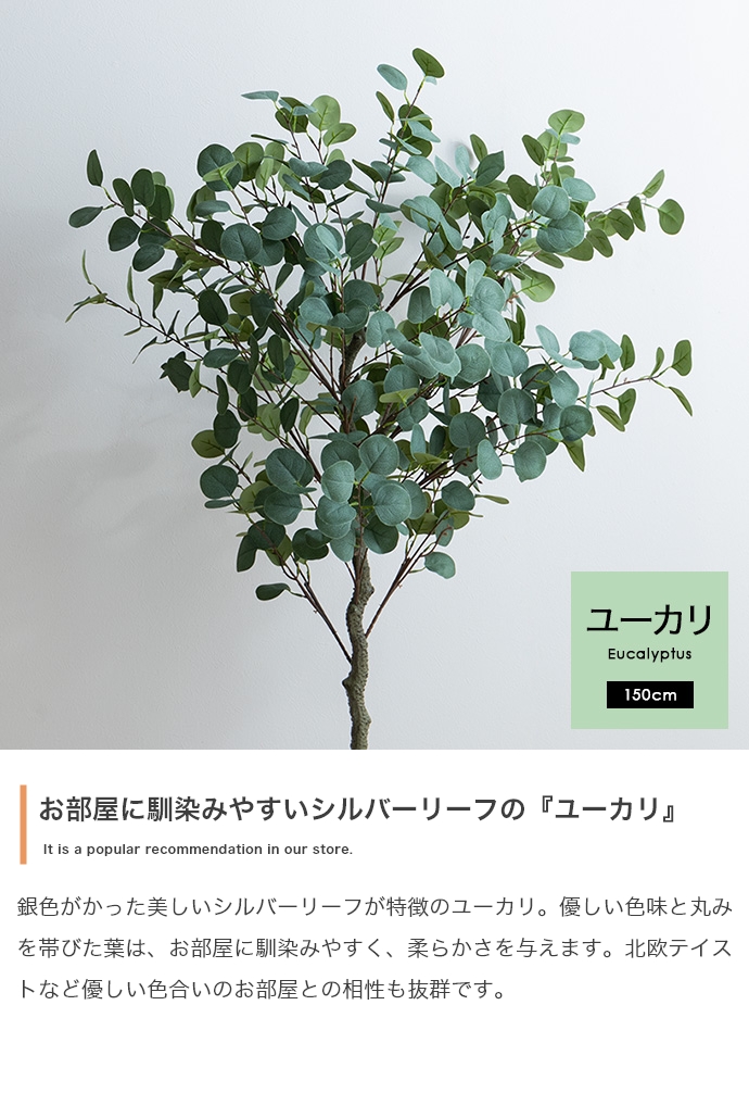 光触媒人工観葉植物 fake green ユーカリ (約)幅60cm×奥行45cm×高さ150cm 照明光で消臭・抗菌・防汚・ホルムアルデヒド分解の効果を発揮 フェイクグリーンの画像