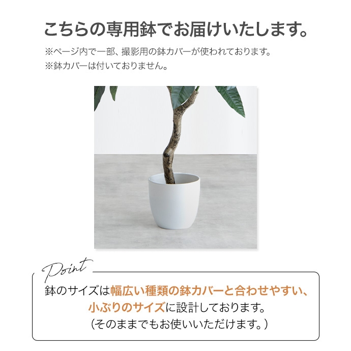 光触媒人工観葉植物 fake green ユーカリ (約)幅60cm×奥行45cm×高さ150cm 照明光で消臭・抗菌・防汚・ホルムアルデヒド分解の効果を発揮 フェイクグリーンの画像