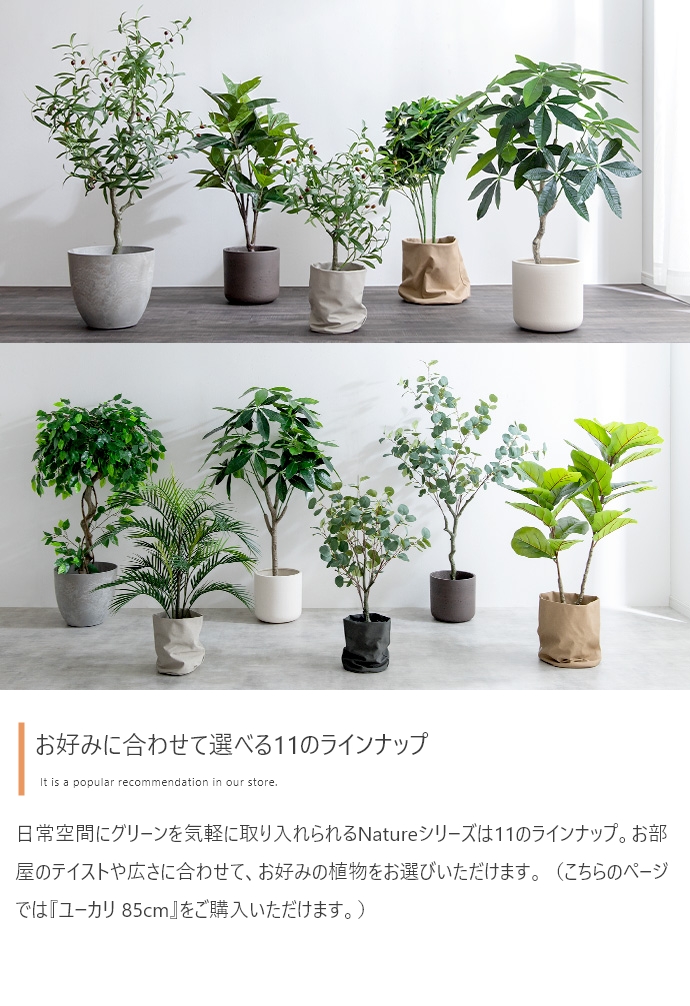 光触媒人工観葉植物 fake green ユーカリ (約)幅60cm×奥行45cm×高さ150cm 照明光で消臭・抗菌・防汚・ホルムアルデヒド分解の効果を発揮 フェイクグリーンの画像