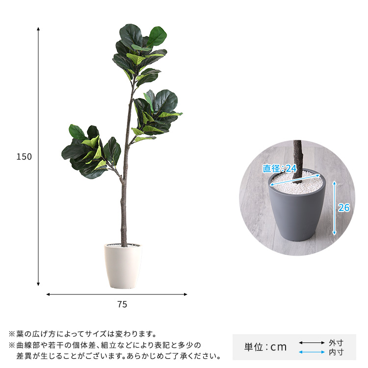 フェイクグリーン フィカス・リラータ Mサイズ(150cm) 人工観葉植物 アーティフィシャルグリーン 鉢つき 化粧石_3