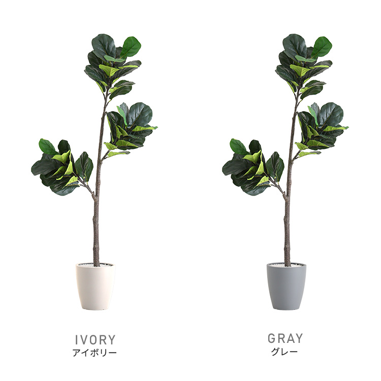 フェイクグリーン フィカス・リラータ Mサイズ(150cm) 人工観葉植物 アーティフィシャルグリーン 鉢つき 化粧石_4