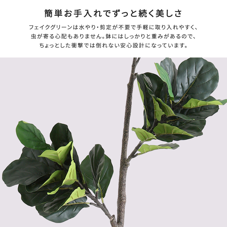 フェイクグリーン フィカス・リラータ Mサイズ(150cm) 人工観葉植物 アーティフィシャルグリーン 鉢つき 化粧石_5