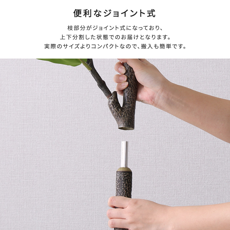 フェイクグリーン フィカス・リラータ Mサイズ(150cm) 人工観葉植物 アーティフィシャルグリーン 鉢つき 化粧石_8