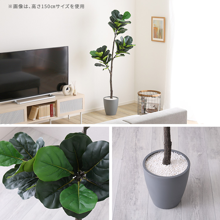 フェイクグリーン フィカス・リラータ Mサイズ(150cm) 人工観葉植物 アーティフィシャルグリーン 鉢つき 化粧石_10