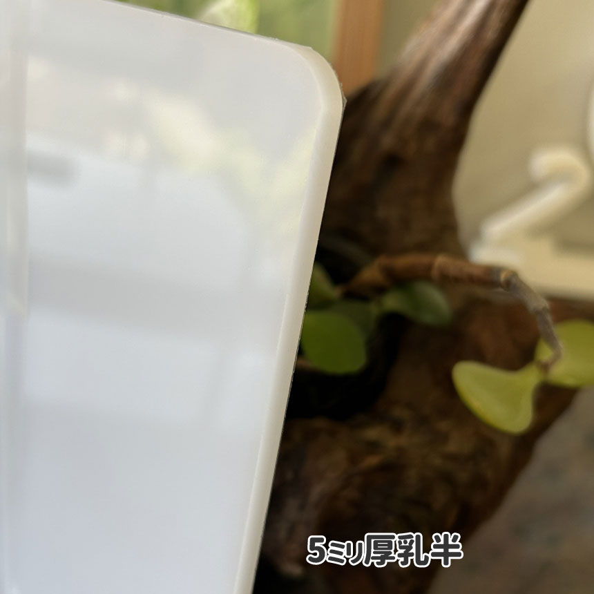 ５ミリ厚 画像
