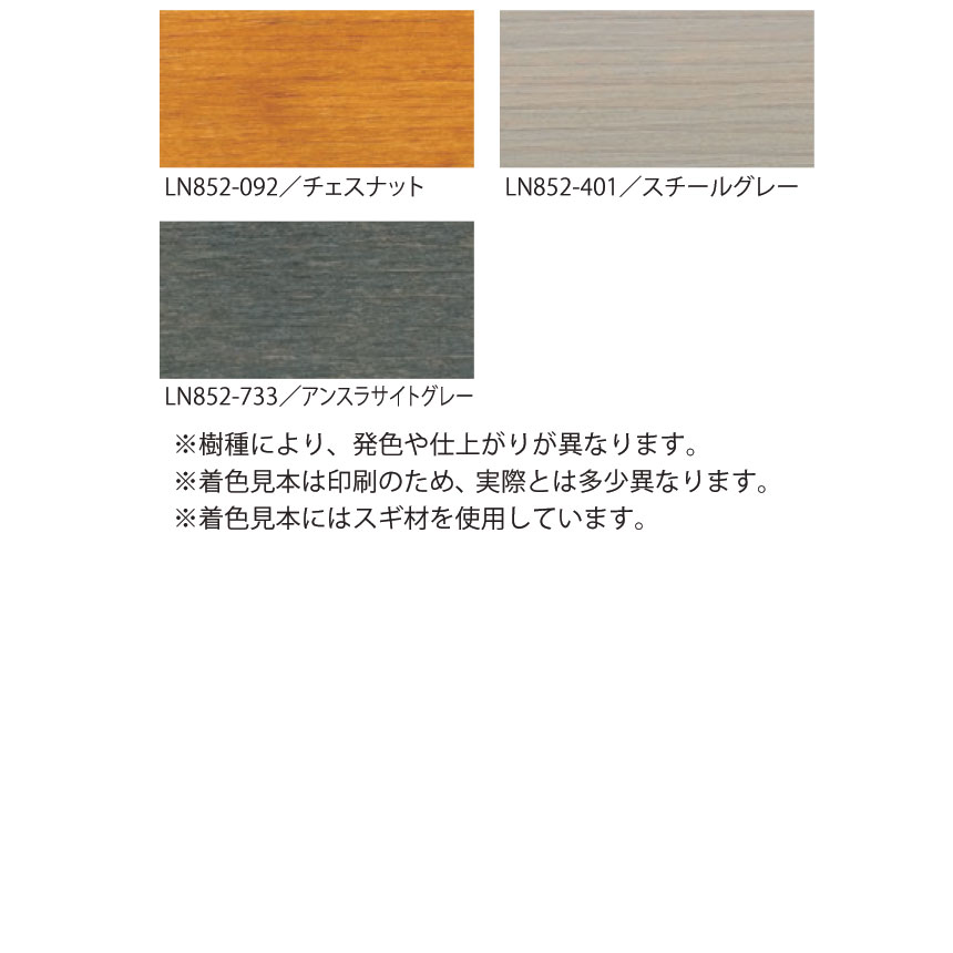 リボス レイノスLN852 ウェザープルーフペイント733 アンスラサイト