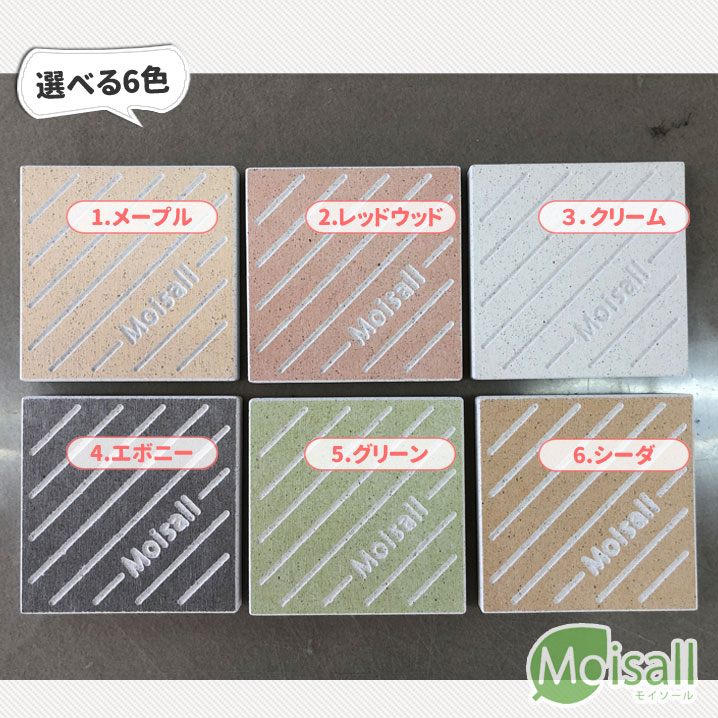 6カラー