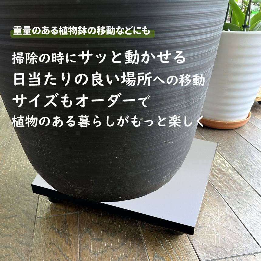 図
