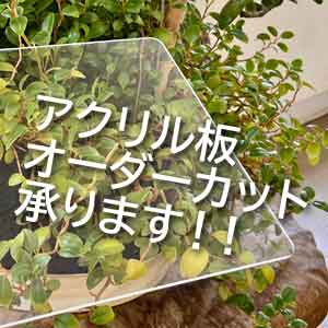 </a>  </td>     <td>  <a href=