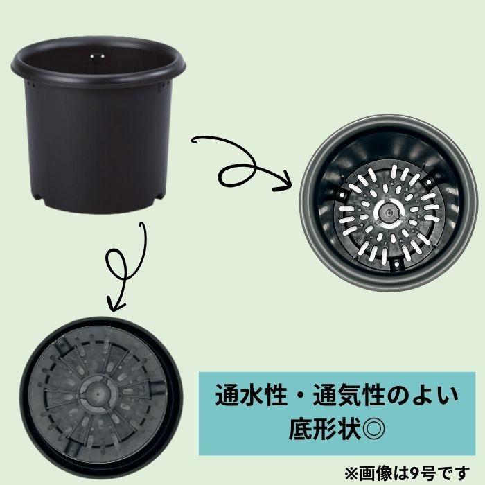 グリーンパル（GREEN PAL） 菊鉢 6号 ブラック 植木鉢 プラスチック鉢