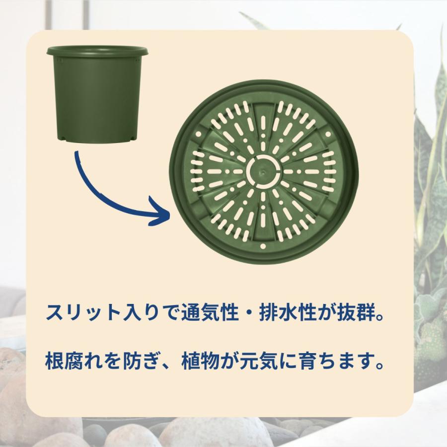 グリーンパル（GREEN PAL） 【菊鉢・バラ鉢・アガベ鉢】排水性◎ 支柱