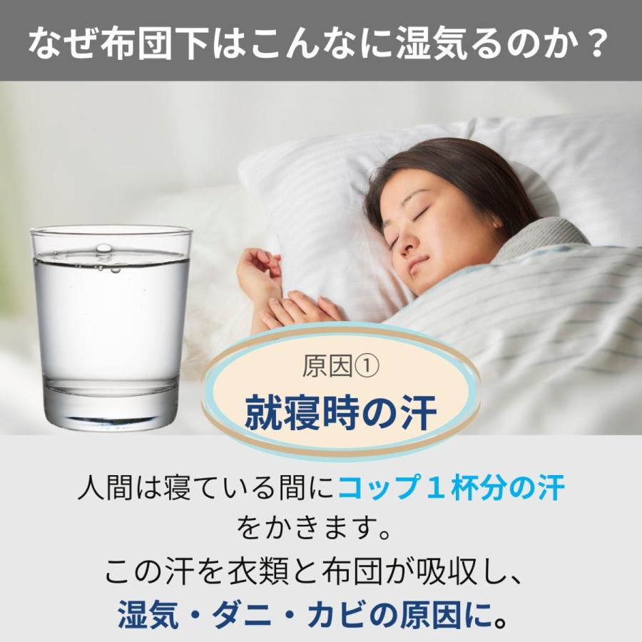 グリーンパル（GREEN PAL） すのこベッド シングル プラスチック