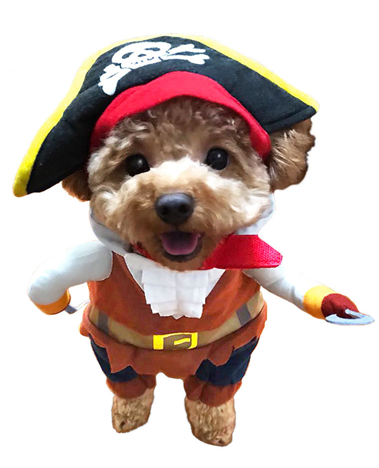 犬 二足歩行 服の商品一覧 通販 Yahoo ショッピング